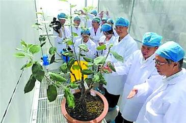 文体艺苑：九游体育田径世锦赛百米决赛博尔特卫冕 苏炳添创造历史(图6)