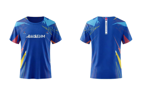 2025百色半程马拉松圆九游体育满收官 红色赛道绽放激情与荣耀(图19)